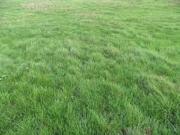 Vente Terrain 410 m2 Aufferville