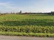 Vente Terrain 411 m2 Fleurbaix