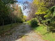 Vente Terrain 419 m2 Beynes