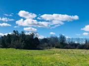 Vente Terrain 419 m2 Mallemort