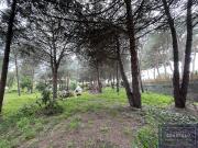 Vente Terrain 4200 m2 Agde