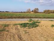 Vente Terrain 422 m2 Canet