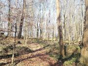 Vente Terrain 4250 m2 Arrest