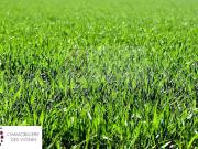 Vente Terrain 432 m2 Arbanats