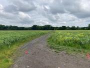 Vente Terrain 429 m2 Carvin