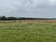 Vente Terrain 431 m2 Valframbert