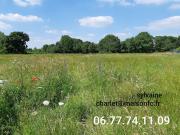 Vente Terrain 433 m2 Henin beaumont