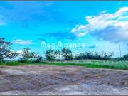 Vente Terrain 436 m2 Saint Hilaire de Riez