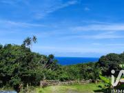 Vente Terrain 439 m2 Saint Philippe