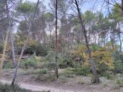 Vente Terrain 4400 m2 Velaux