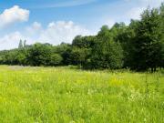 Vente Terrain 440 m2 Parentis en Born