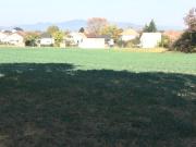 Vente Terrain 441 m2 Morschwiller le Bas