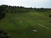 Vente Terrain 442 m2 Cambremer