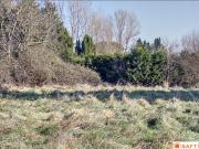 Vente Terrain 45800 m2 Ambares et lagrave