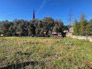 Vente Terrain 459 m2 Grasse