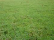 Vente Terrain 459 m2 Villers en Ouche