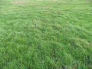 Vente Terrain 463 m2 Les Chapelles Bourbon