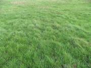 Vente Terrain 466 m2 Boussy Saint Antoine