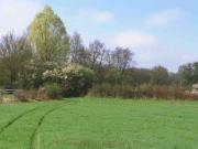 Vente Terrain 470 m2 Bornel