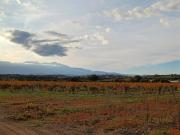 Vente Terrain 473 m2 Brouilla