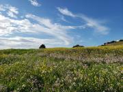 Vente Terrain 474 m2 Mirebeau sur Bèze