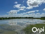Vente Terrain 47505 m2 Saint laurent de la pree