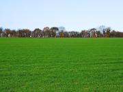 Vente Terrain 480 m2 Caromb