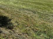 Vente Terrain 480 m2 Saint Jean d'Angély