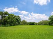 Vente Terrain 485 m2 Beychac et Caillau