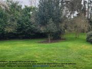 Vente Terrain 486 m2 Briis sous Forges