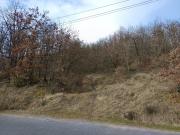 Vente Terrain 4870 m2 Graulhet