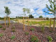 Vente Terrain 490 m2 Pouzolles