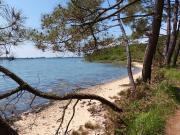 Vente Terrain 491 m2 Locoal Mendon