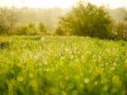 Vente Terrain 492 m2 Moigny sur Ecole