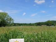 Vente Terrain 497 m2 Bouloc