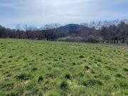 Vente Terrain 5000 m2 Fox Amphoux