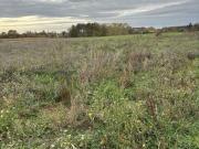 Vente Terrain 500 m2 Chalonnes sur Loire