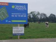 Vente Terrain 500 m2 La Rue Saint Pierre