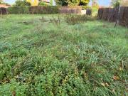 Vente Terrain 500 m2 Le Porge