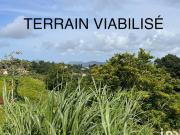 Vente Terrain 500 m2 Riviere pilote