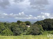Vente Terrain 500 m2 Riviere pilote