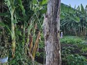 Vente Terrain 500 m2 Saint denis chaudron