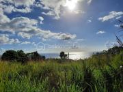 Vente Terrain 5020 m2 Vieux Habitants