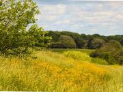 Vente Terrain 502 m2 Bethoncourt