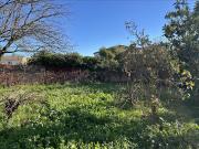 Vente Terrain 503 m2 Montbazin