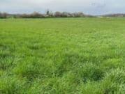 Vente Terrain 5045 m2 Port sur Saône