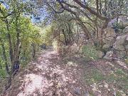 Vente Terrain 50500 m2 Mons