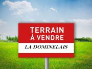 Vente Terrain 506 m2 La Dominelais