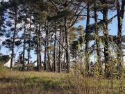 Vente Terrain 5108 m2 Le Palais