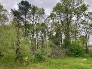Vente Terrain 510 m2 Castelnau de Médoc